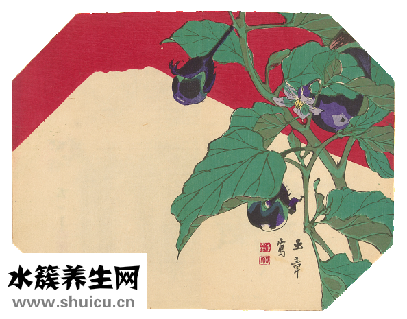 细长茄子怎么做