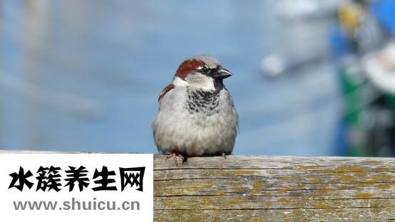 怎么做好一个男朋友
