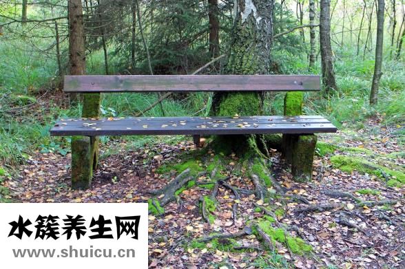 怎么很多的性伴侣