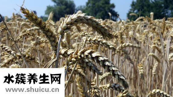 红面怎么做好吃