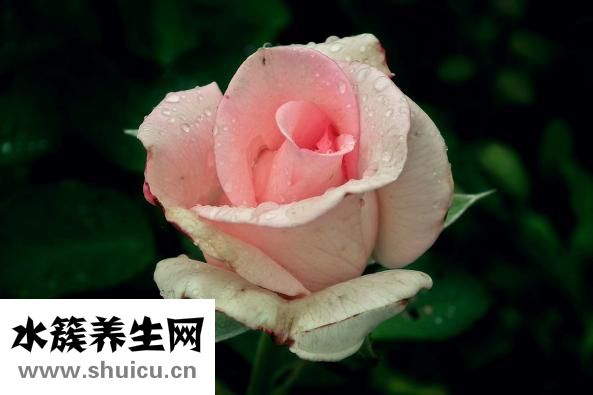 怎么做好一个男朋友