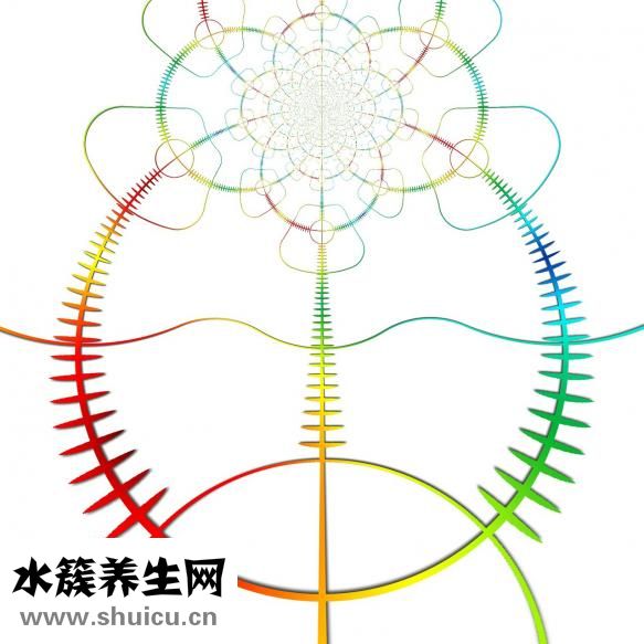 射精手怎么动