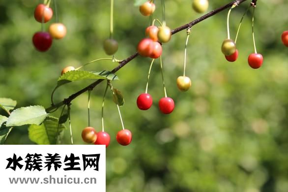 怎么挑选荔浦芋头