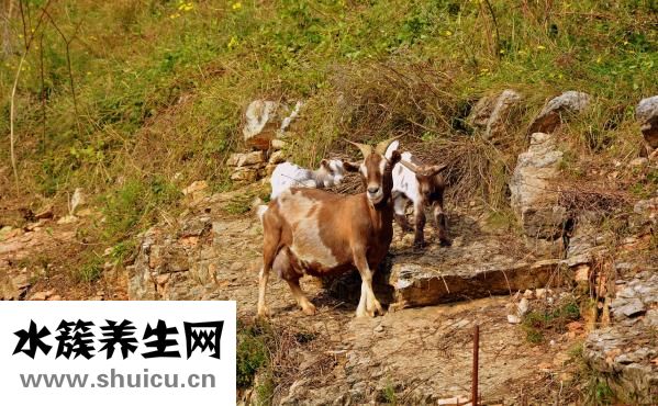 妈妈要找叔叔怎么办