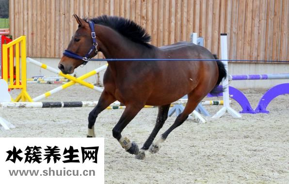 怎么做噩梦