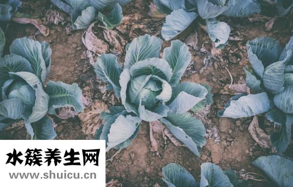 疙瘩面怎么做