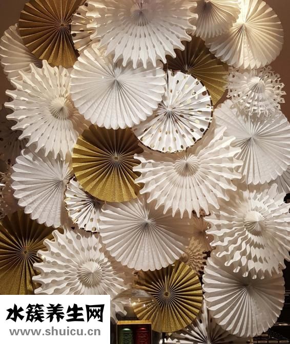 转运竹怎么摆放