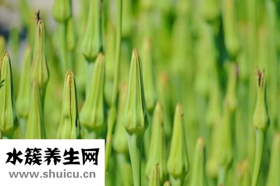 肠鸣音屁多怎么治