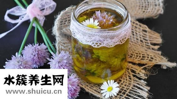 水韭菜怎么养