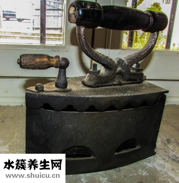 红烛花怎么养