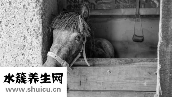 强迫多疑症怎么治疗