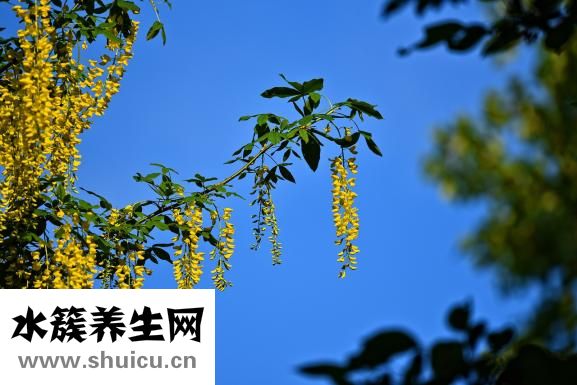 怎么知道宝宝多动症