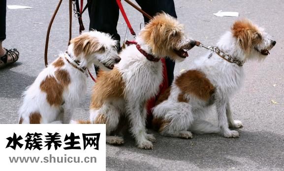 古代怎么治疗癌症