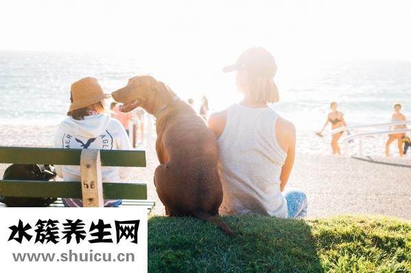 怎么铺被子