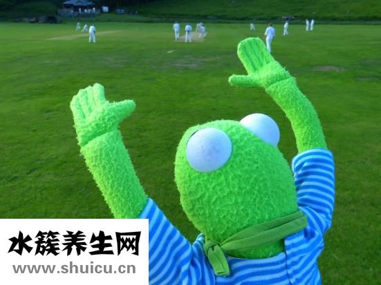 心率慢怎么治疗
