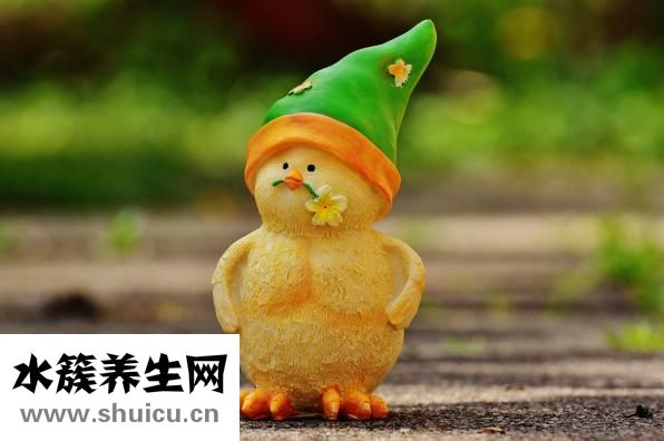 小鸡帽子怎么做？一起来看看这里！