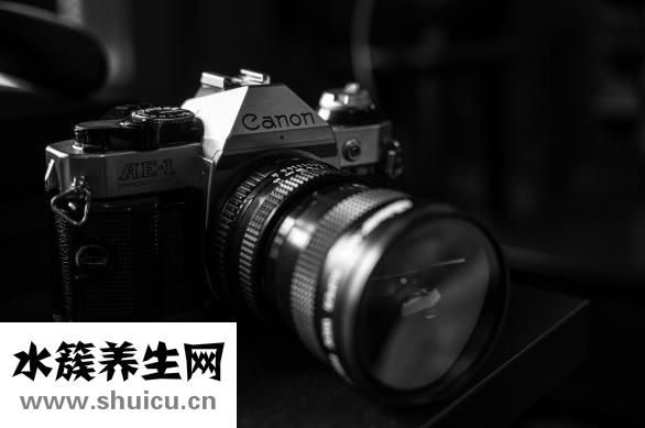 蒸菜怎么炒好吃