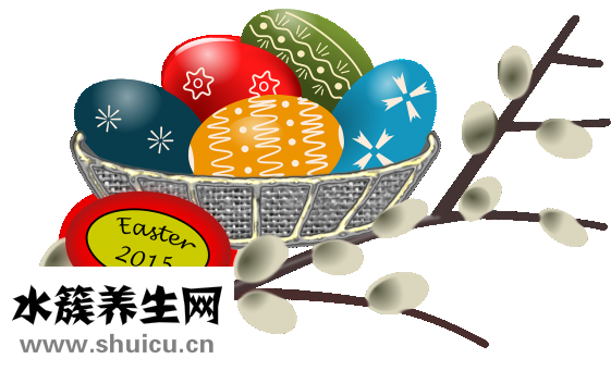 狗落枕怎么办