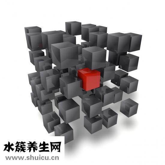 怎么备孕生双胞胎