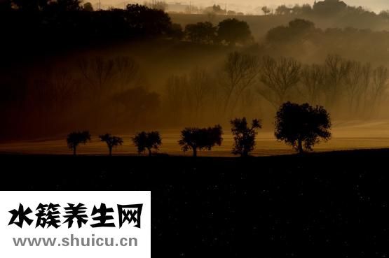 手上肌肉怎么练