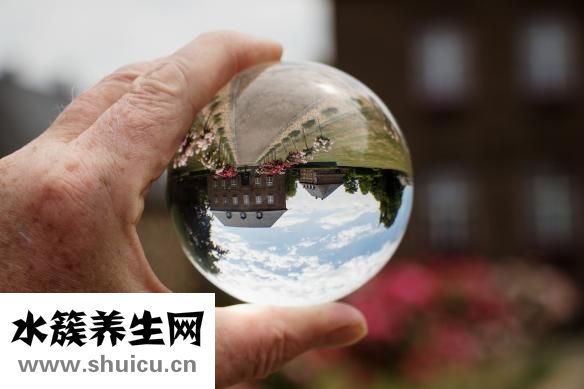 玻璃球花怎么养