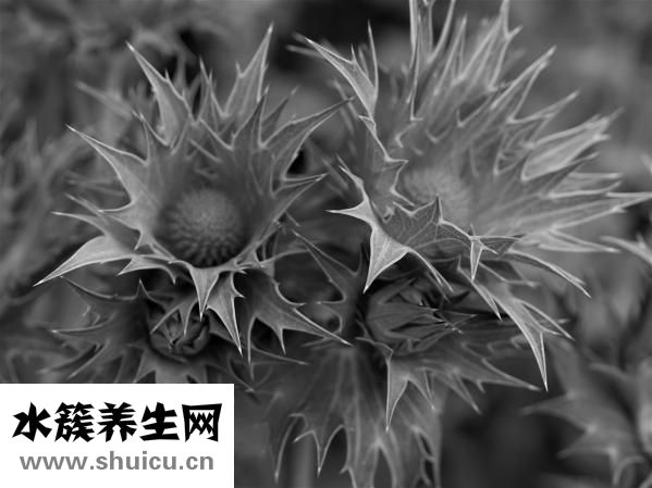 坐字怎么写好看