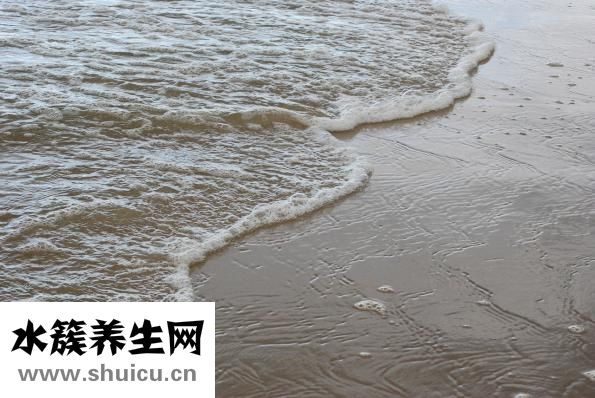 海水白点病怎么治疗