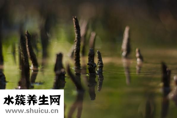 怎么找学术文章