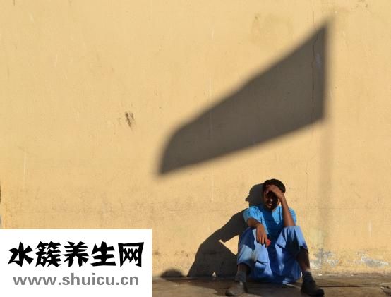 怎么插月季