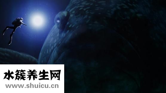 鳊鱼怎么烧
