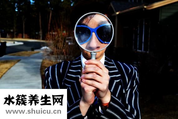 怎么插月季