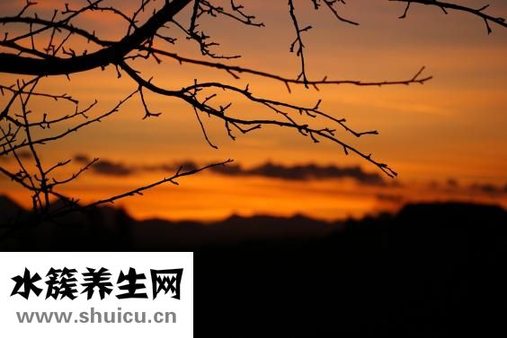 白癜风怎么治疗问答