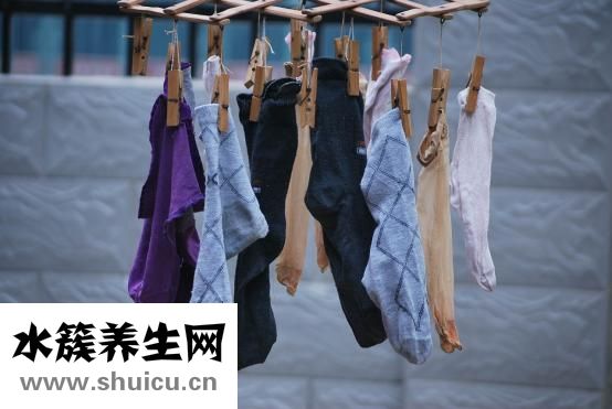怎么把苍蝇哄出屋子