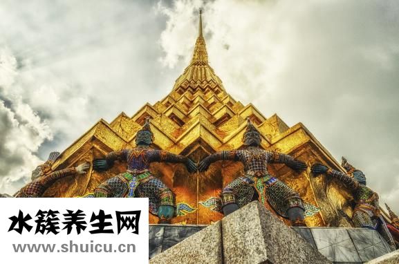 茶喝多了头晕怎么办