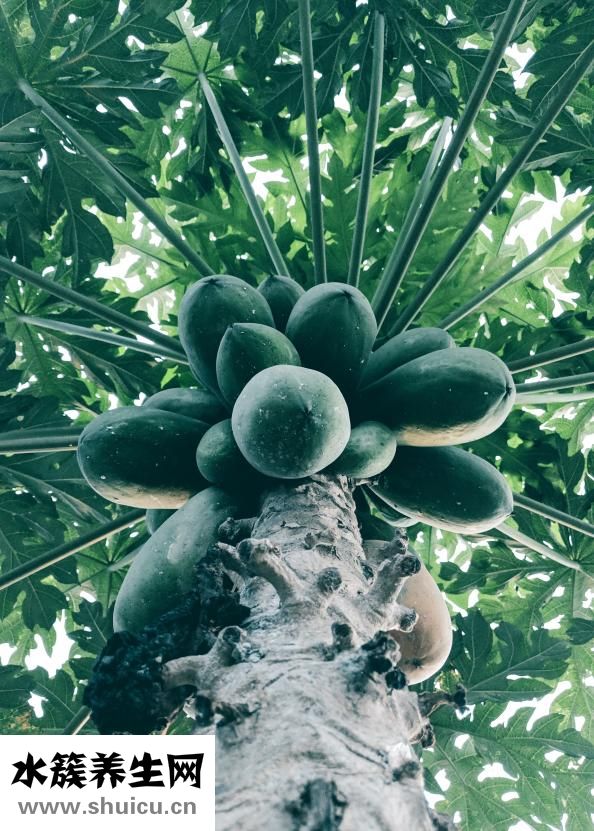 女生长得丑怎么办