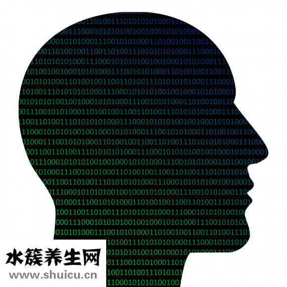 怎么做心肺复苏
