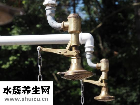 皮肤化脓怎么处理