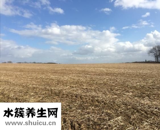 土地被强占怎么办