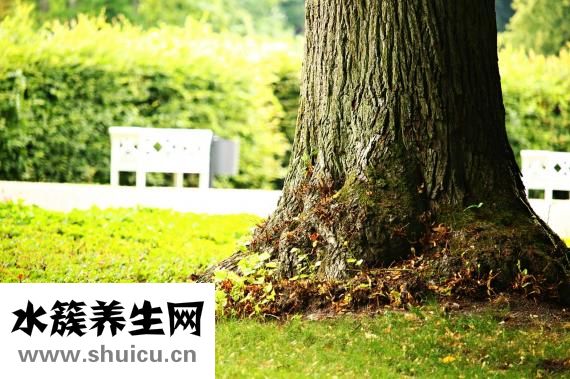 怎么在蘑菇街上推广