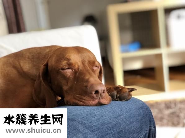 女人乳头内陷怎么办