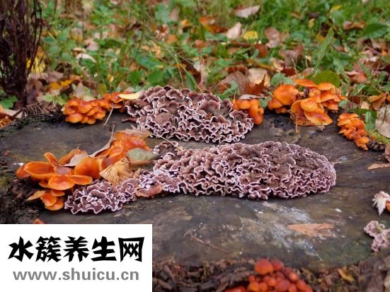 脚指甲发炎怎么办