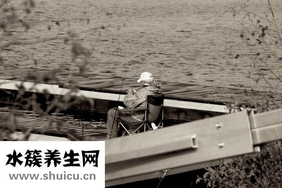 传奇虫子怎么走
