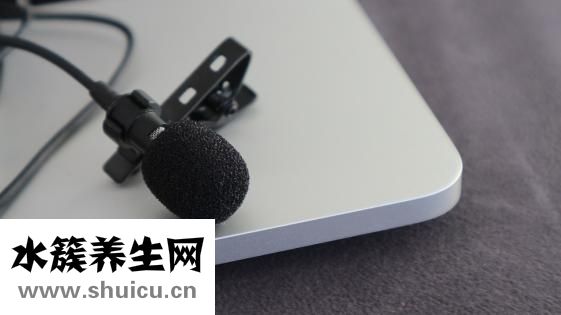 怎么选粉饼的号