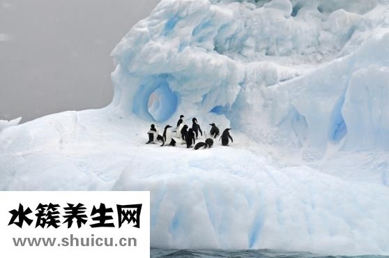 怎么保护视力
