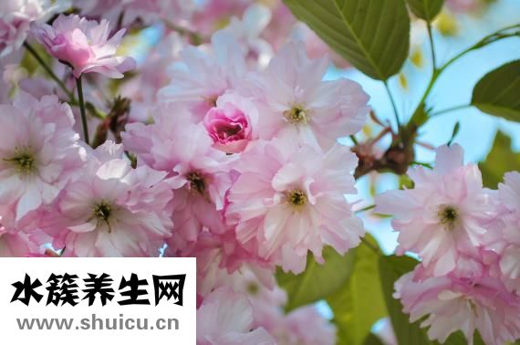 胎动英文怎么说