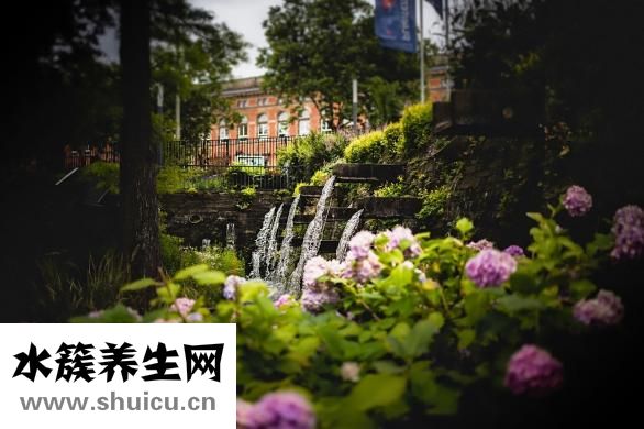 怎么找学术文章