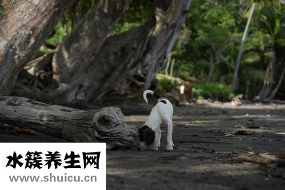风吹流泪是怎么回事