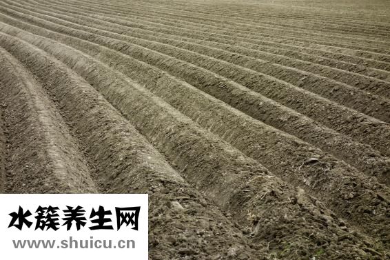工地挖出棺材怎么办