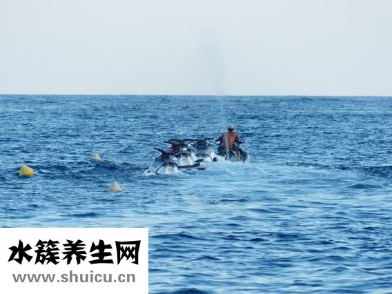 海水白点病怎么治疗