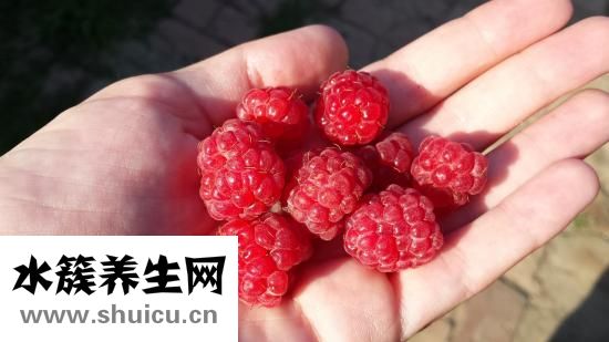 怎么调戏女性